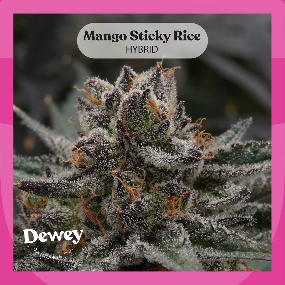 Mango Sticky Rice