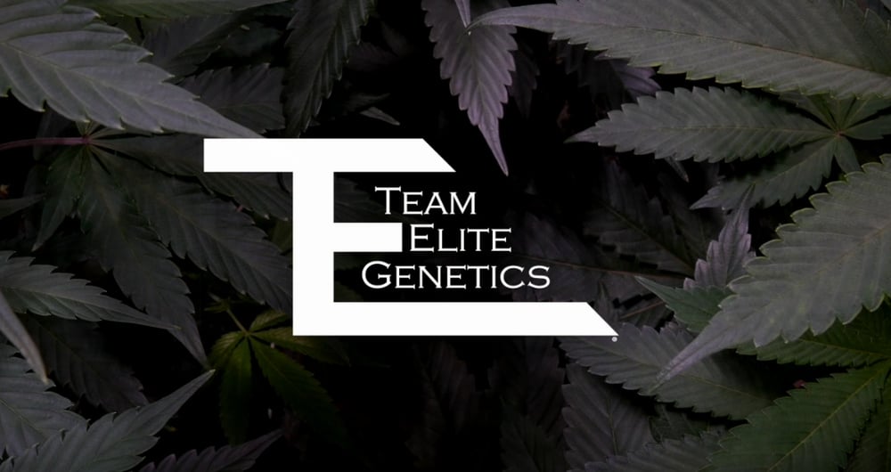 Team Elite Genetics 20% Off special