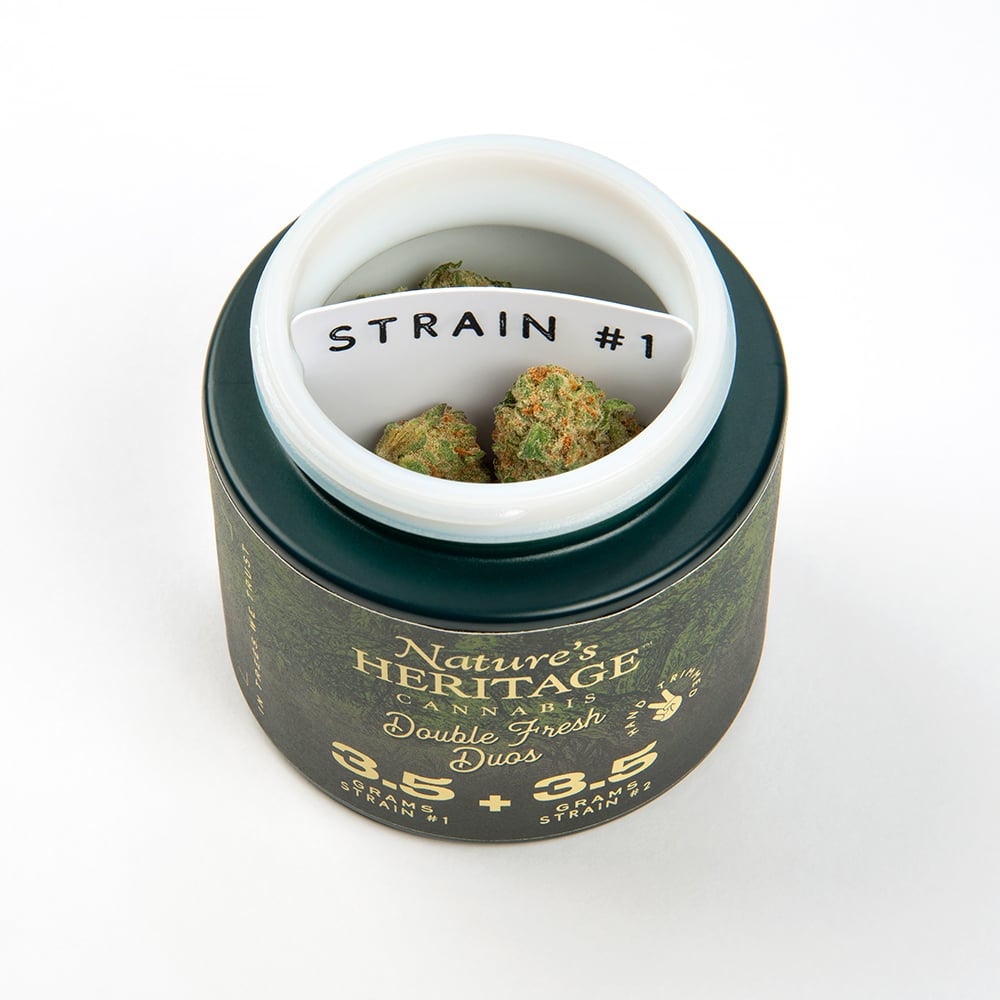 Governmint Oasis & Sherb Crasher