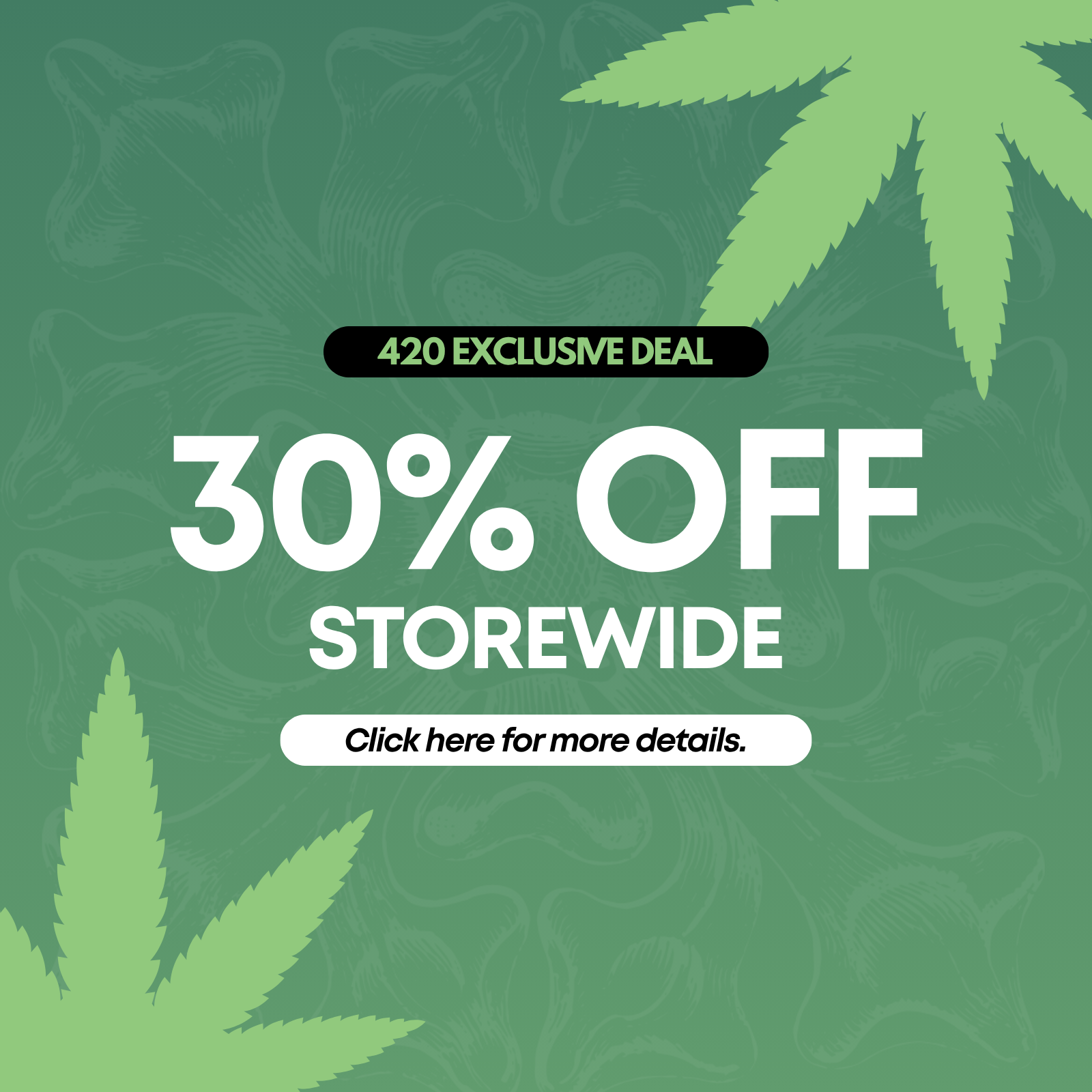 30% Off Storewide special