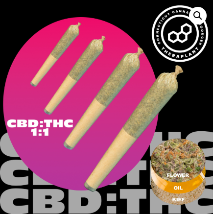 Lato 1:1 Infused Shorties | T18 C22.87 | 41085 | (-)"