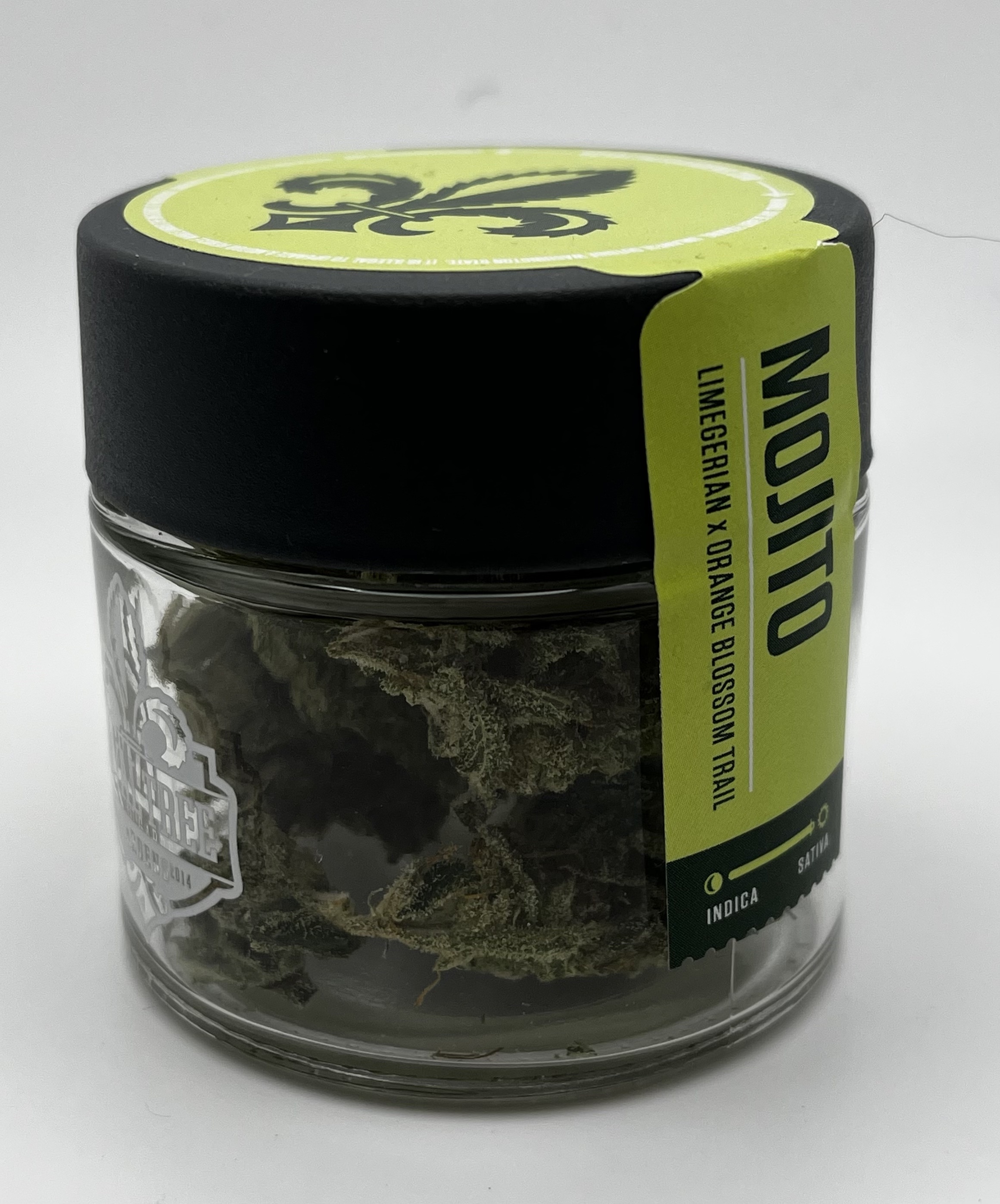 Mojito