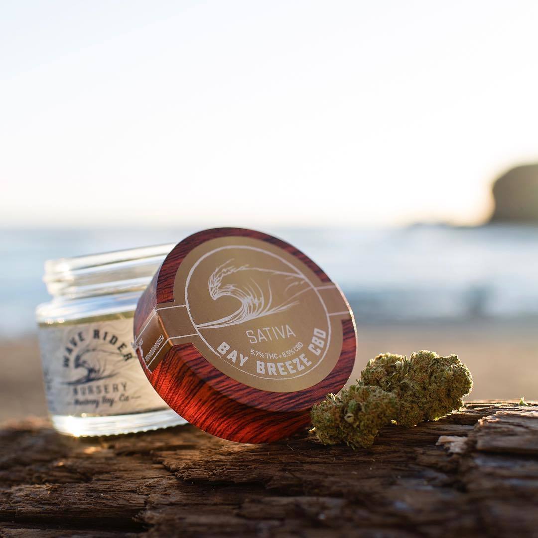 Kollie Man Kush Wave Rider Nursery Jane