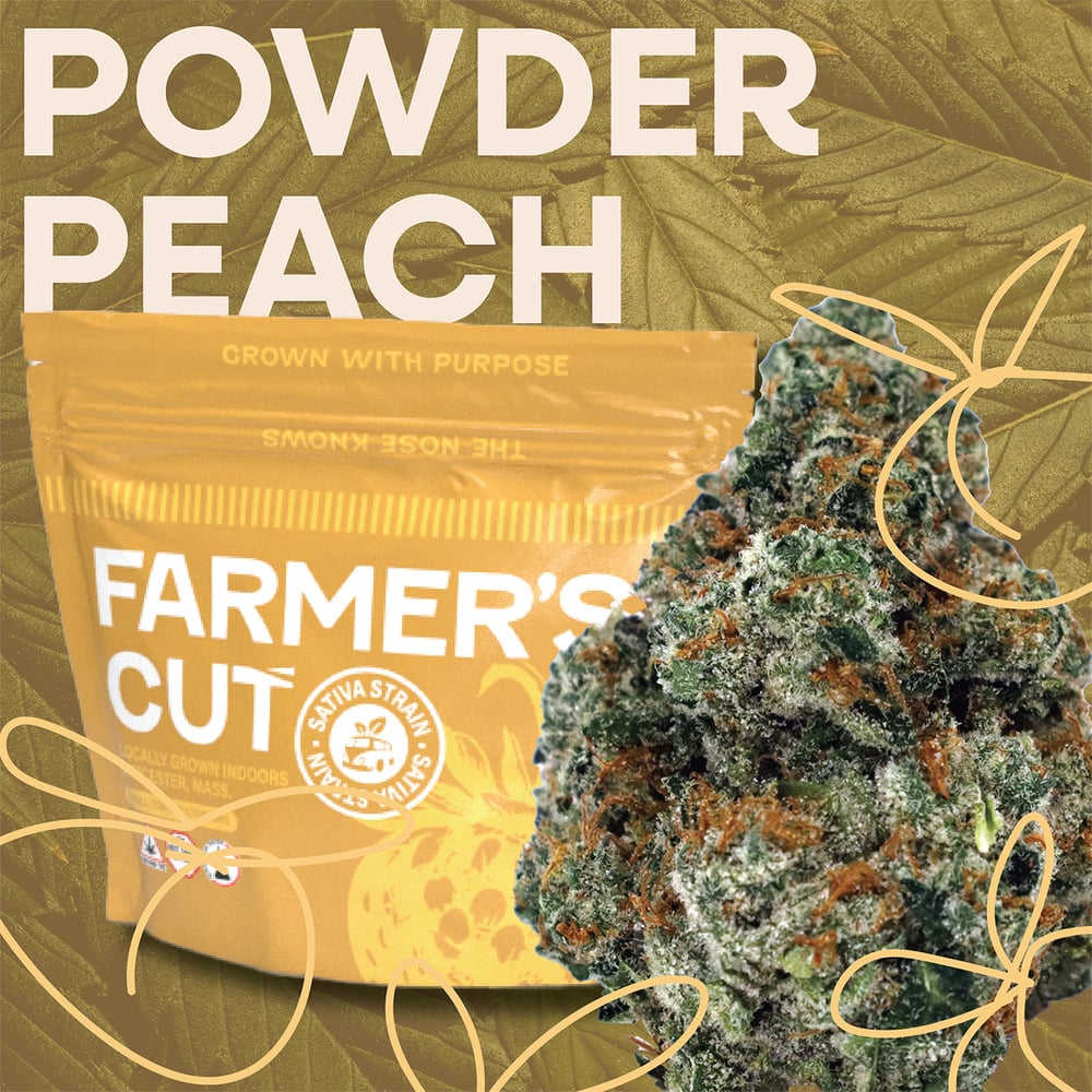 Farmer's Cut - Powder Peach Flower