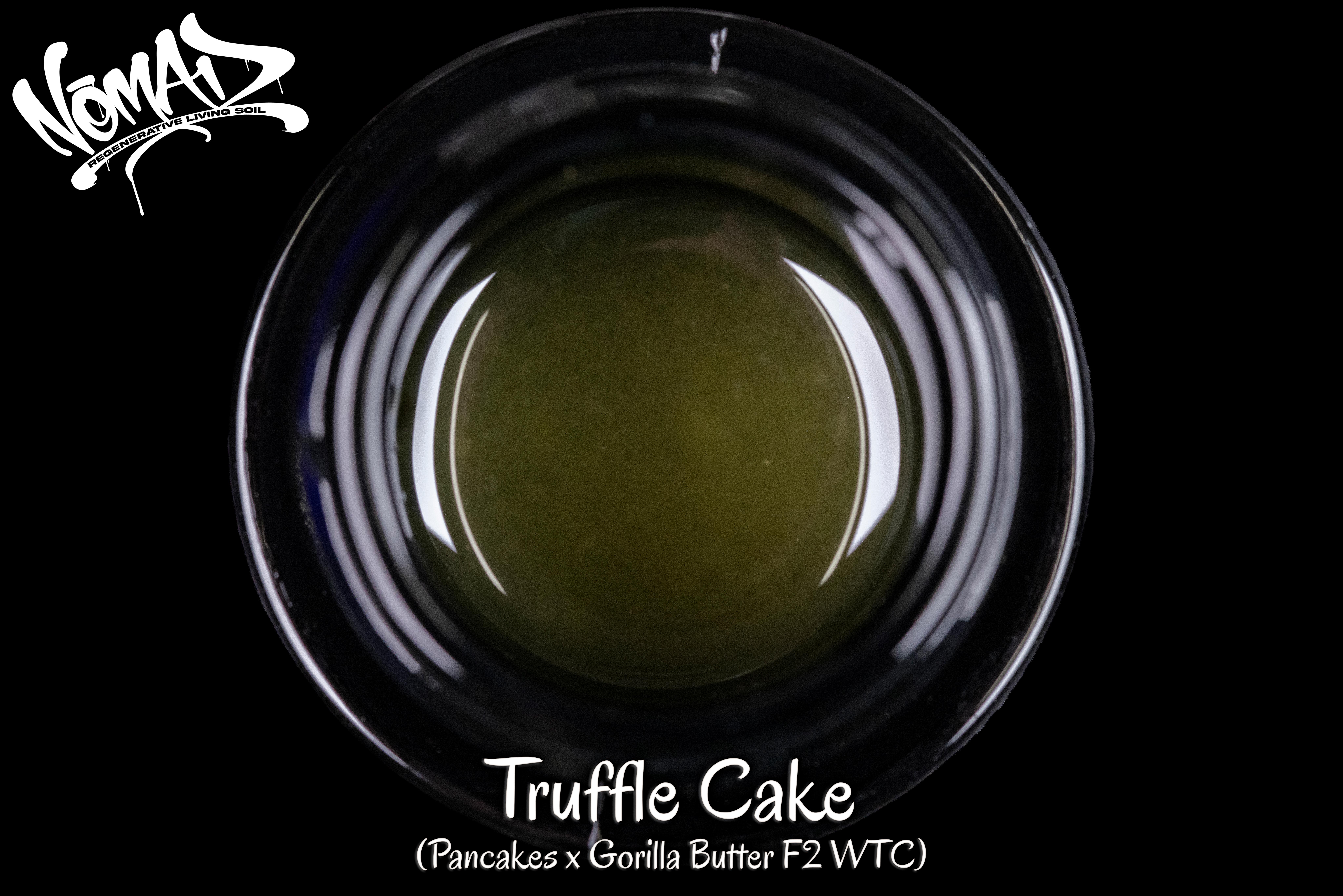 Truffle Cake