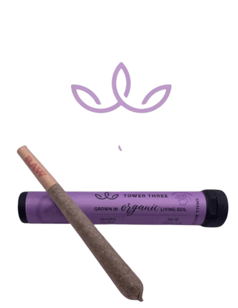 1g Raspberry Mango TK Pre Roll