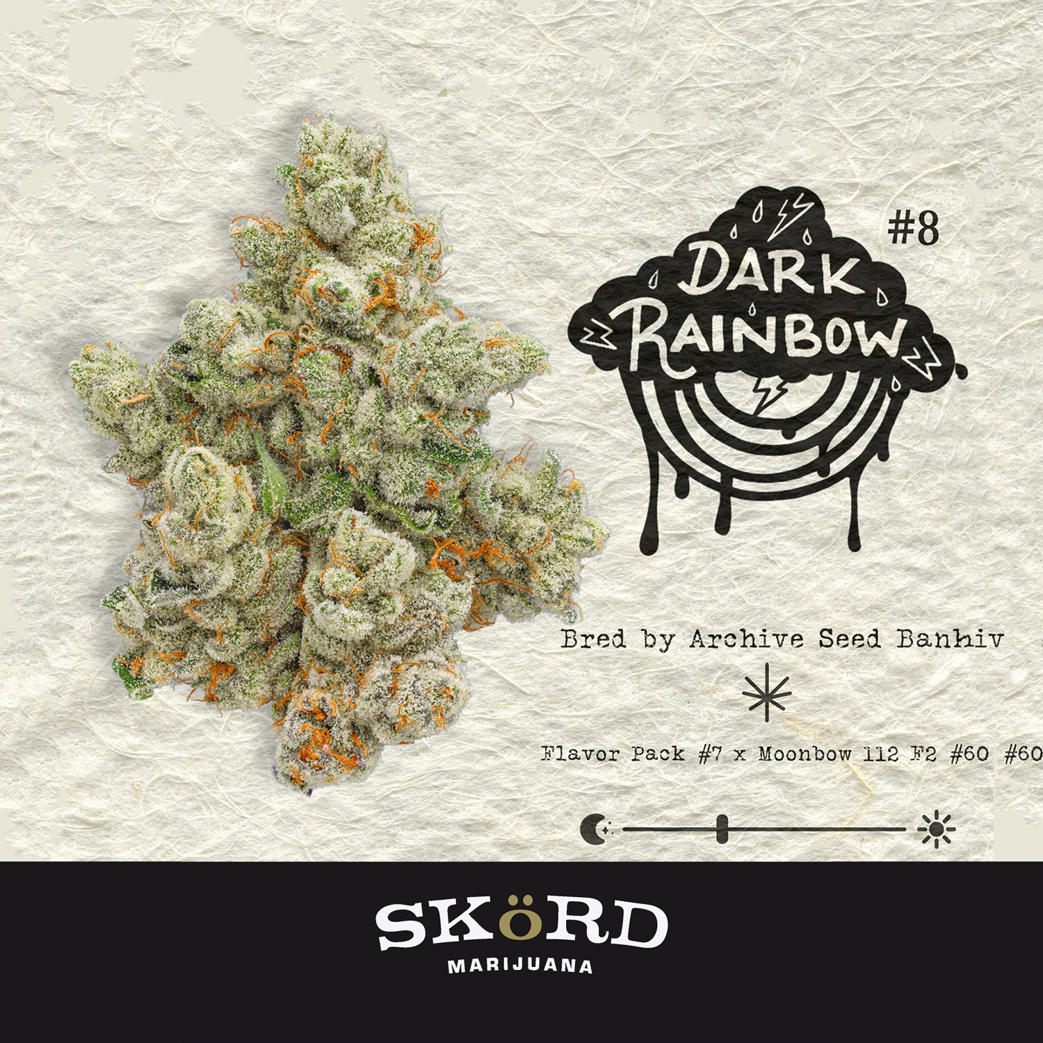 Dark Rainbow