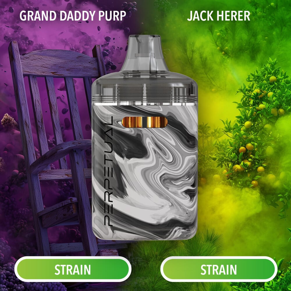 Perpetual - Jack Herer & Grand Daddy Purp Duo Disposable Vape (2g)