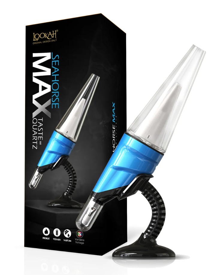 Seahorse Max Blue