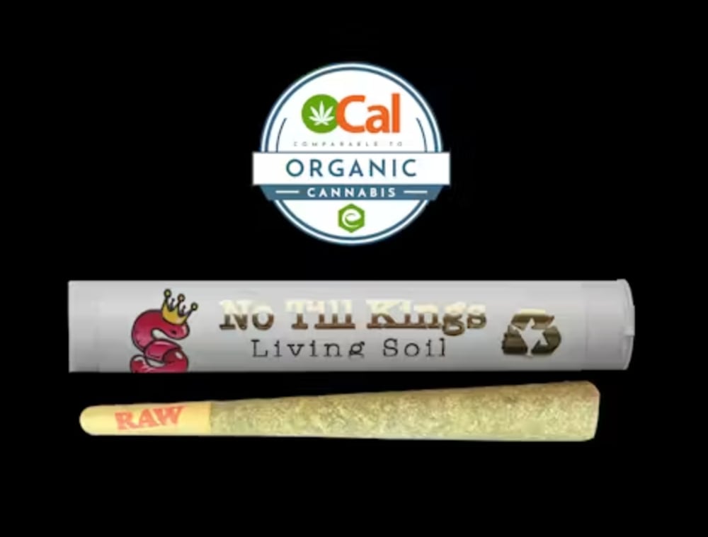 White Widow #11 Full Flower Pre Roll (1gram)