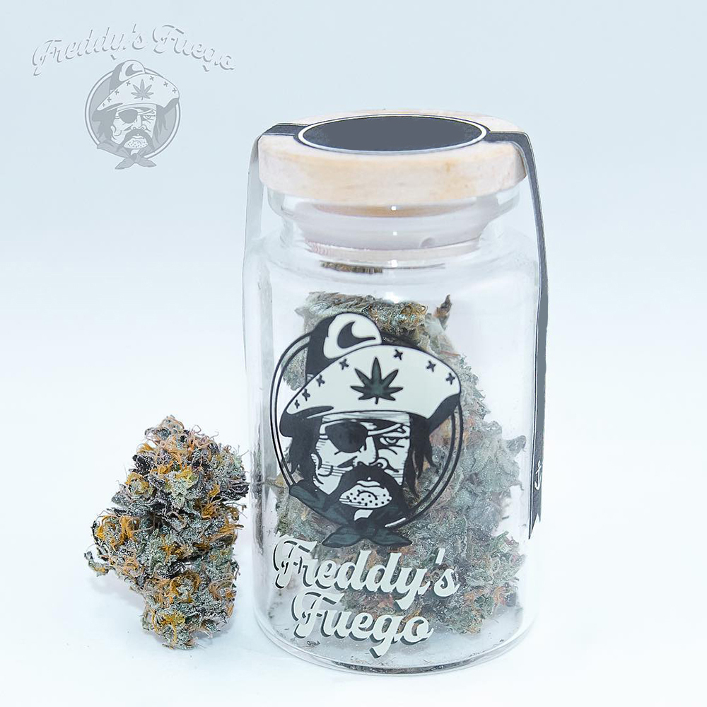 Dedication OG Freddy's Fuego Flagship Jane