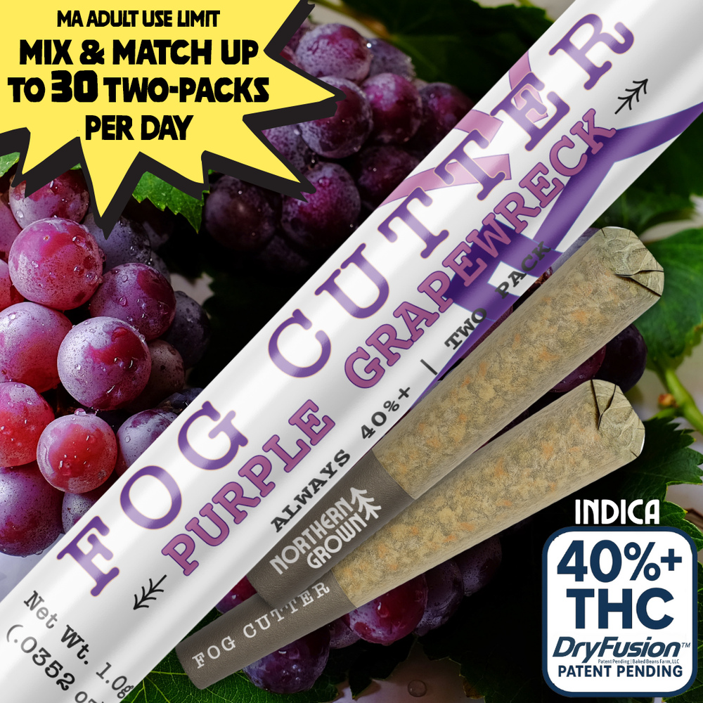 Fog Cutter - Purple Grapewreck Infused Hydro Pre-Roll 0.5g 2pk (1g) product photo