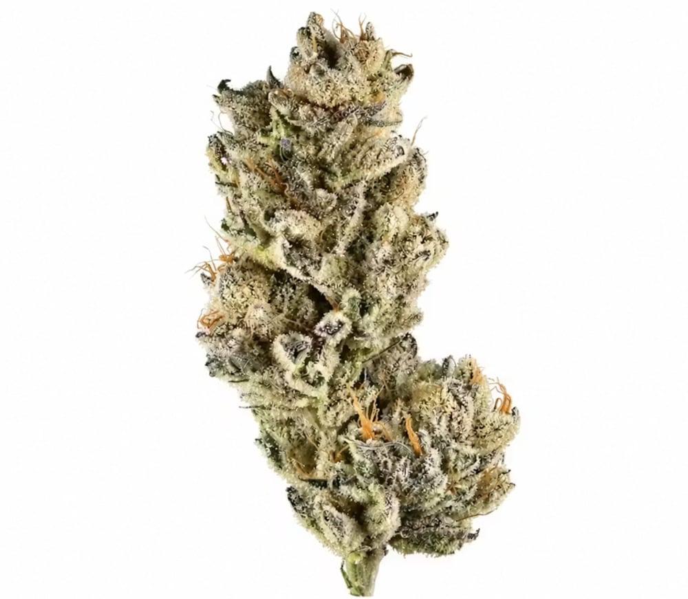 Bear Breath