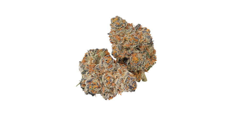 30% off Classic Shelf special