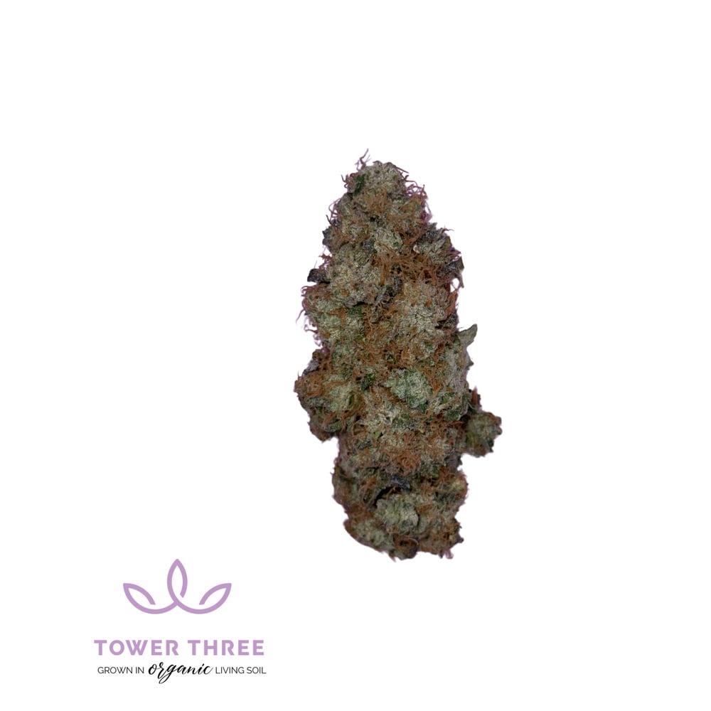 Tower Three - Lemon Royale Flower Tower Three - Lemon Royale Flower