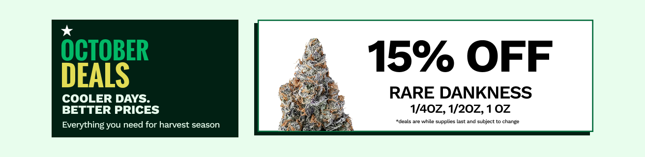 Star Buds Deals