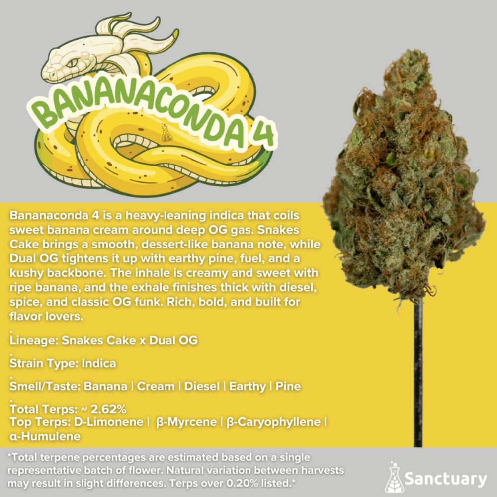 Sanctuary - Bananaconda 4 Flower Sanctuary - Bananaconda 4 Flower