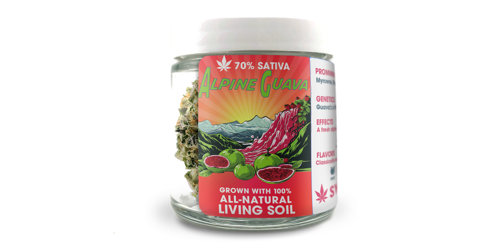 Alpine Guava