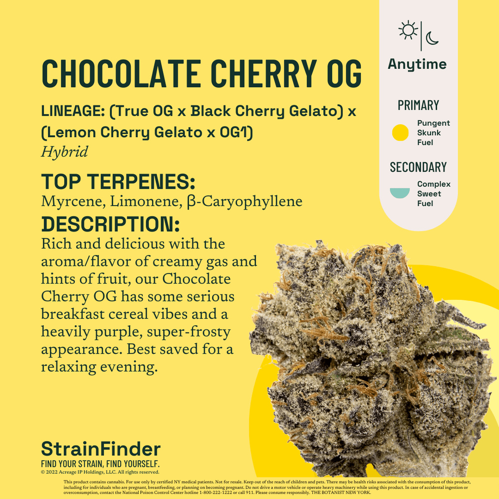 Chocolate Cherry OG [.5g]