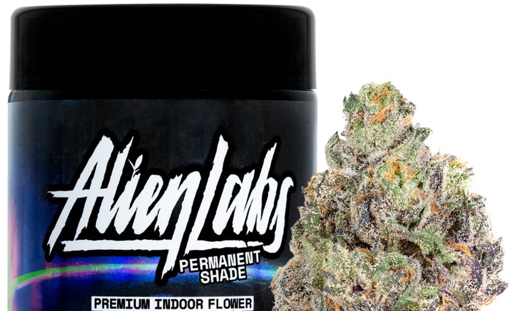 Permanent Shade [10g]