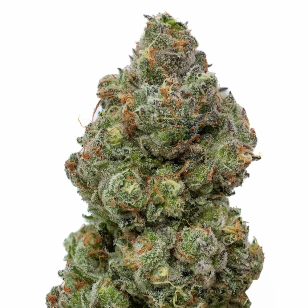 Trees Co. - The Dub Flower