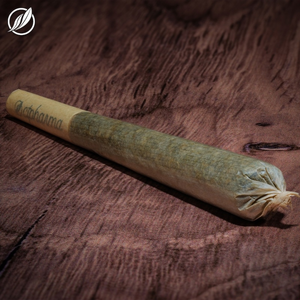 Savvy - Kush Scout (S) 1g Pre-Roll 1pk (1g) C0020026425 Savvy - Kush Scout (S) 1g Pre-Roll 1pk (1g) C0020026425