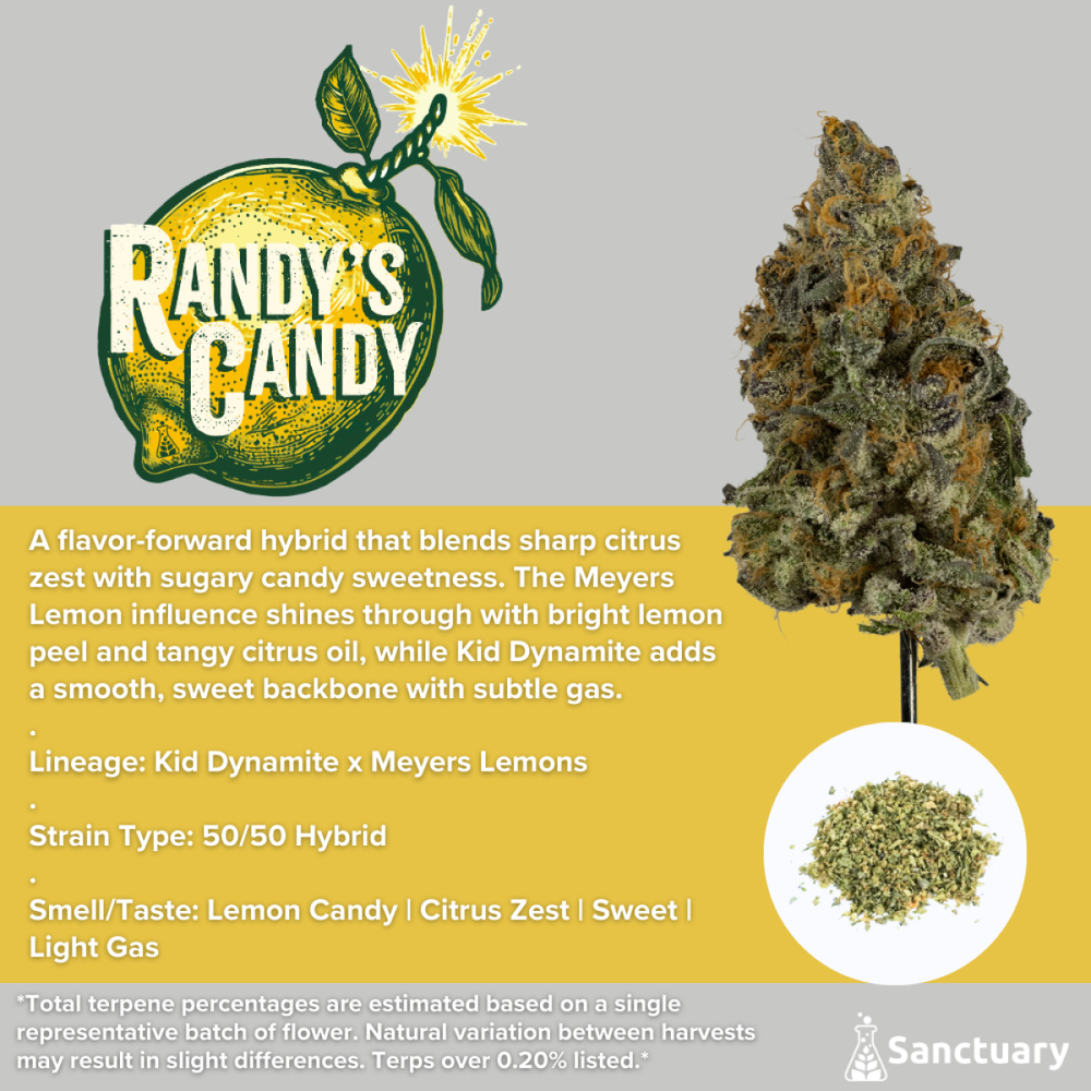 Sanctuary - Randy's Candy Shake