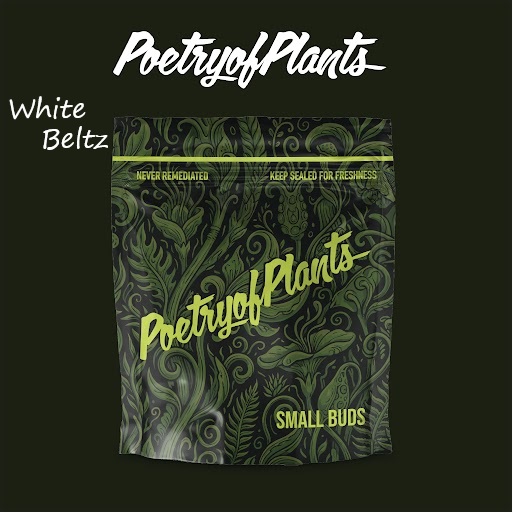 Poetry Of Plants White Beltz