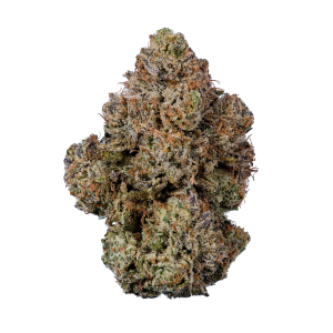 ミンティーです！ Shop Original Z x Gush Mintz | Green Leaf Dispensary - Bayou Vista