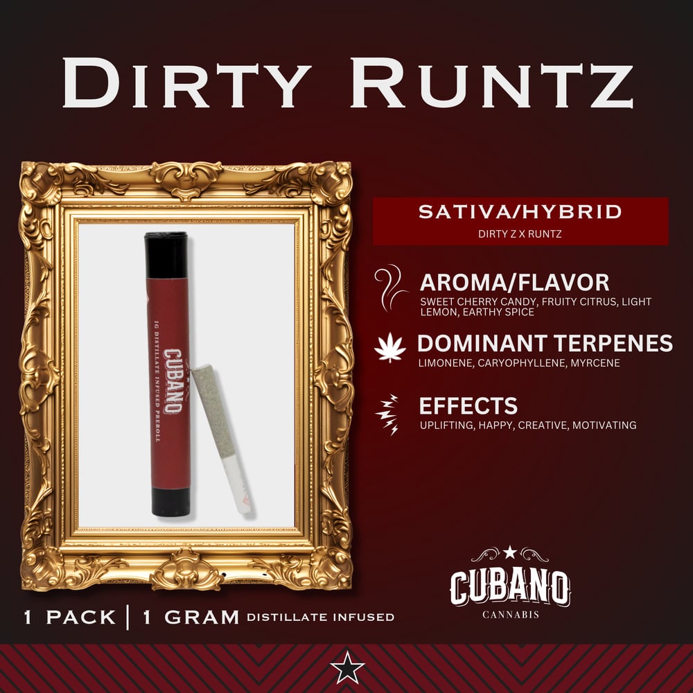 Dirty Runtz [1g]