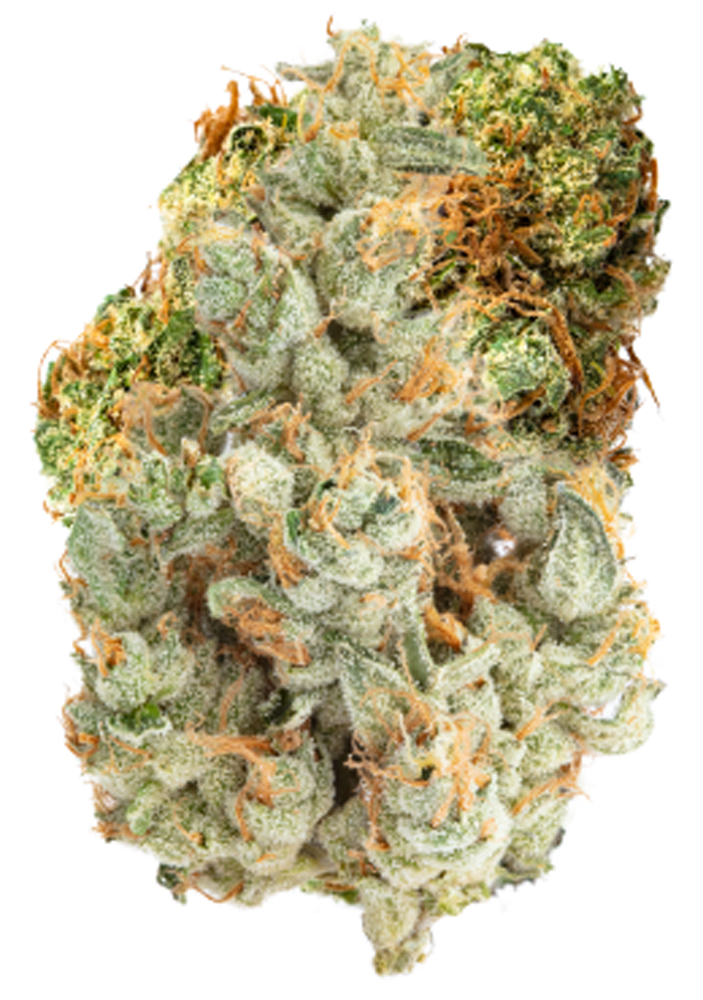 Garlic Cookies Grassroots Blades Jane