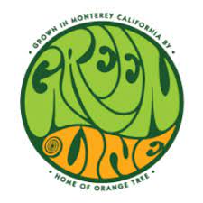 Orange Tree