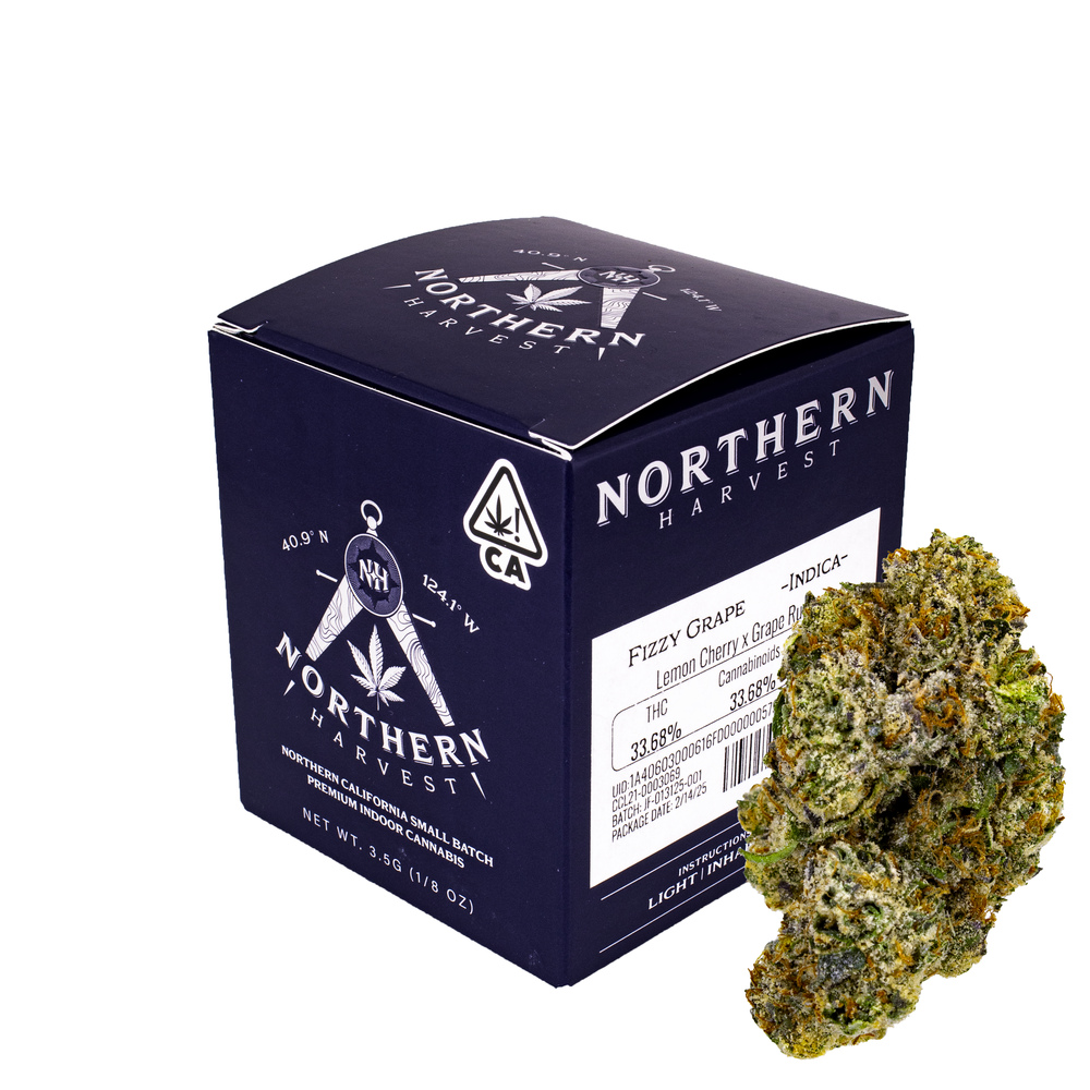 Fizzy Grape Fizzy Grape