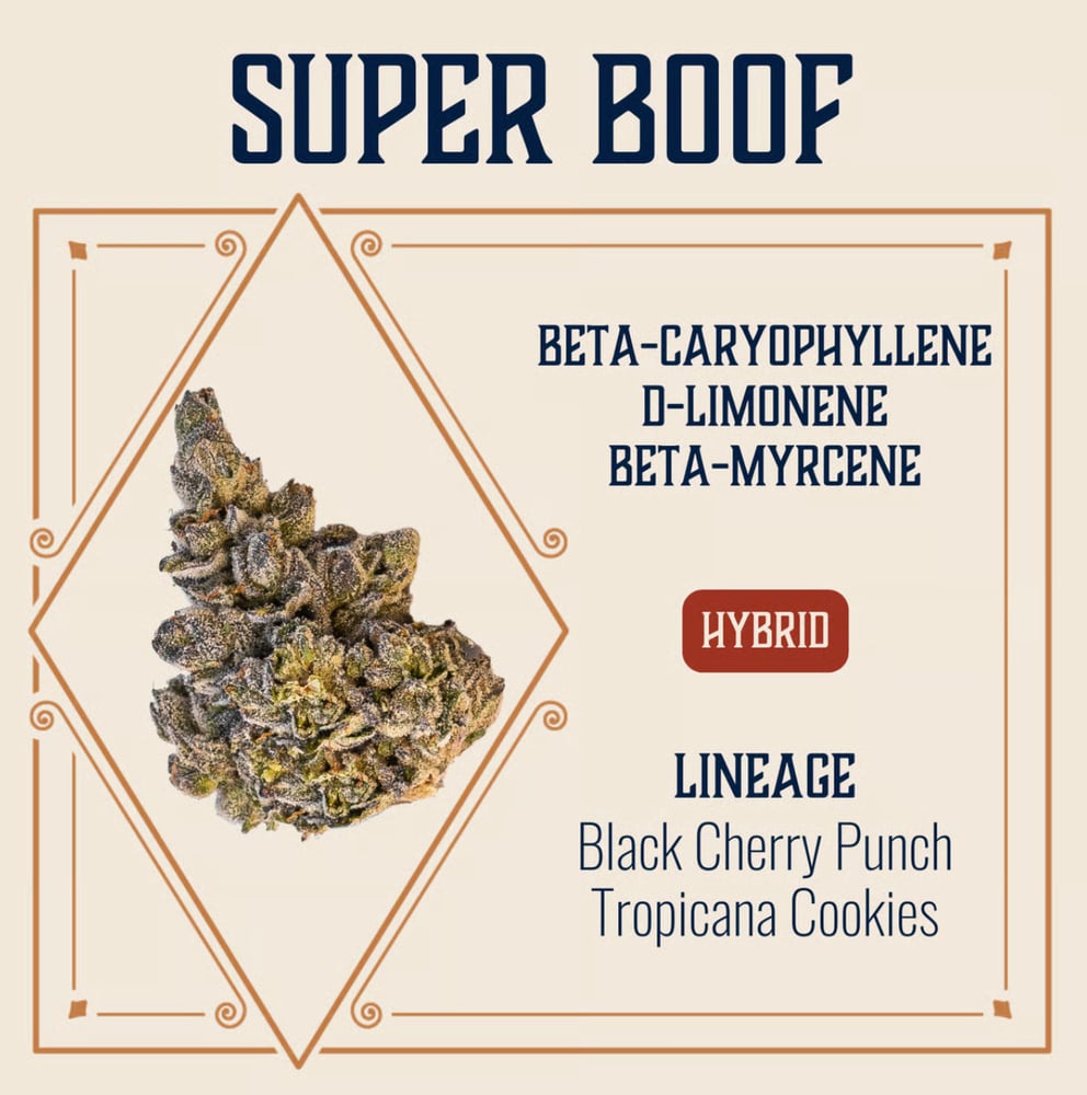 Super Boof