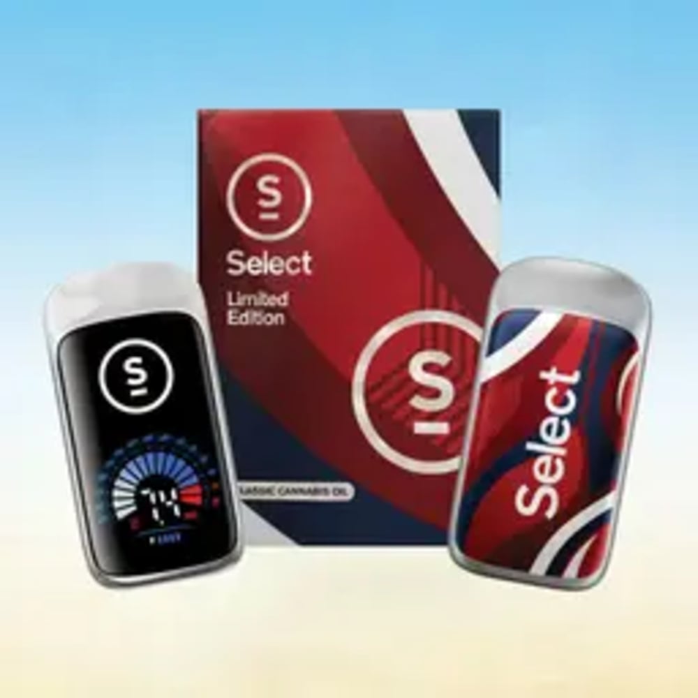 Select | Ice Cream Cake Briq Dispo | 2g