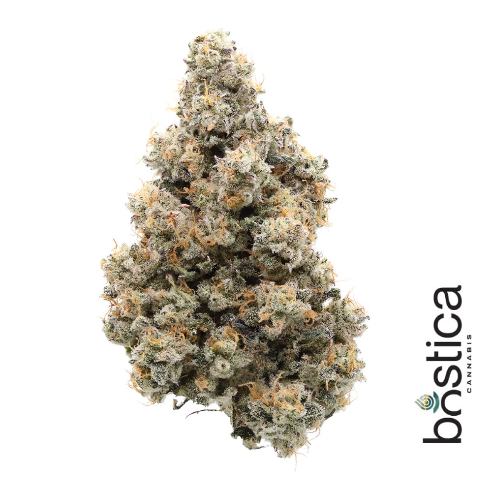Bostica - Blueberry Diesel Flower
