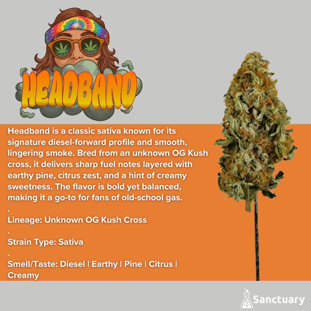Sanctuary - Headband Flower