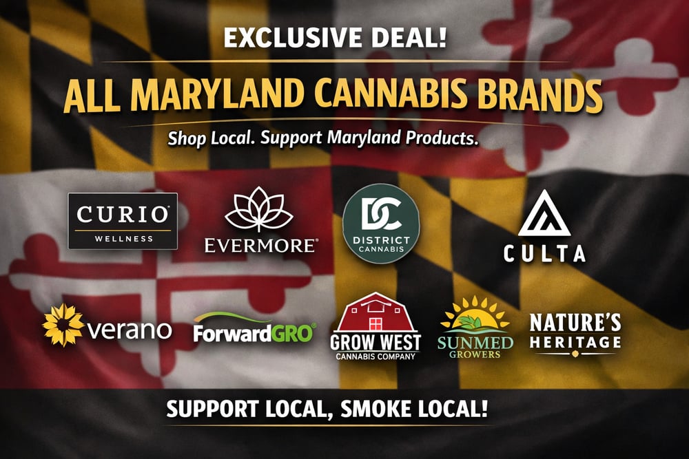 GGF- 30% OFF MaryMonday! special