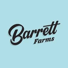 Rainbow Belts x Mimosa