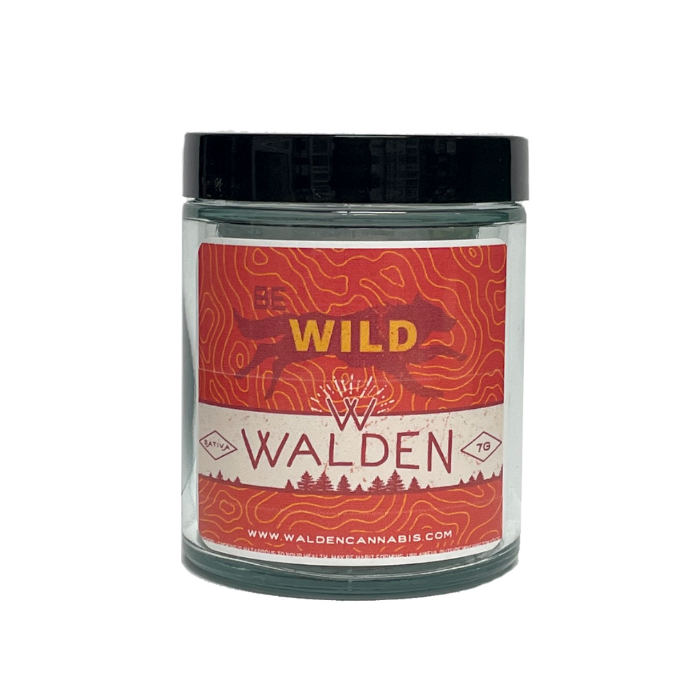 とく　チャンタブーン×8 Shop Cinderella 99 | Dockside Cannabis - SODO Dispensary Seattle, WA