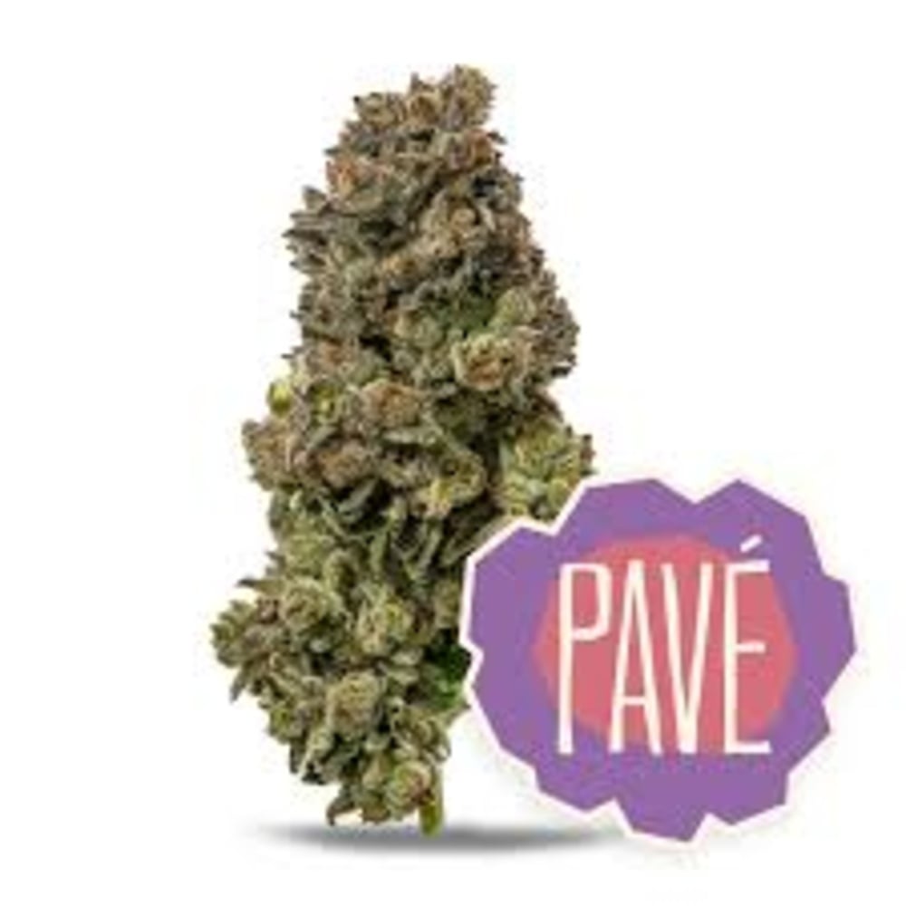 Pavé