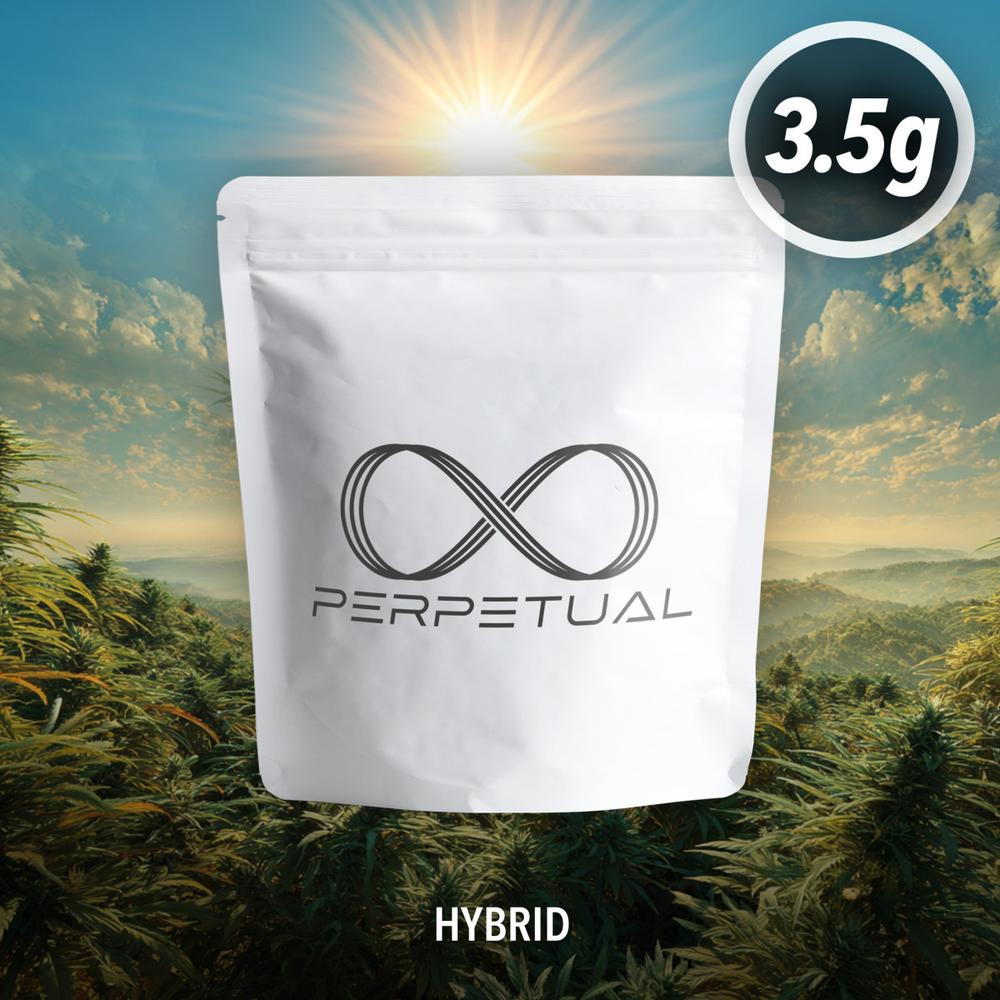 Perpetual - Poppins Flower