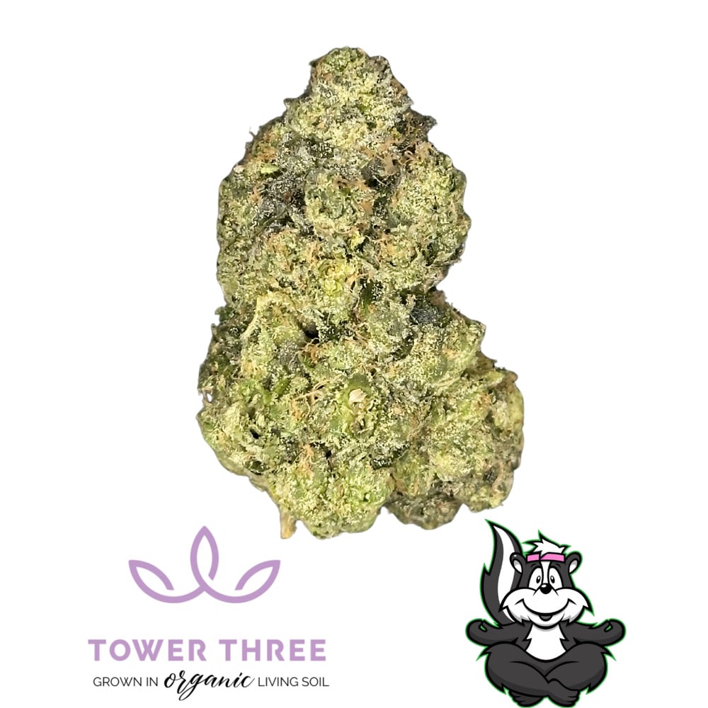 Tower Three - Florida Freeze Flower