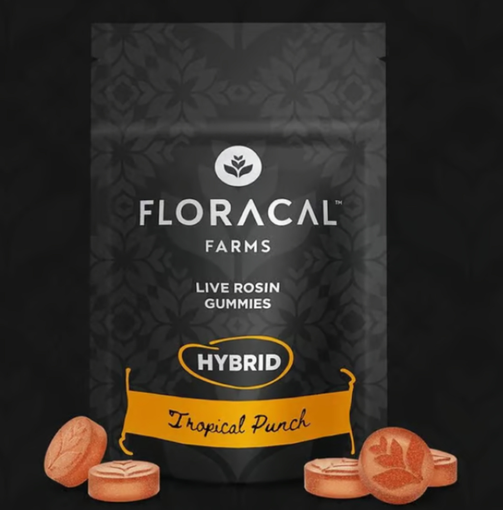 Live Rosin Gummies - Tropical Punch [10pk] (100mg)