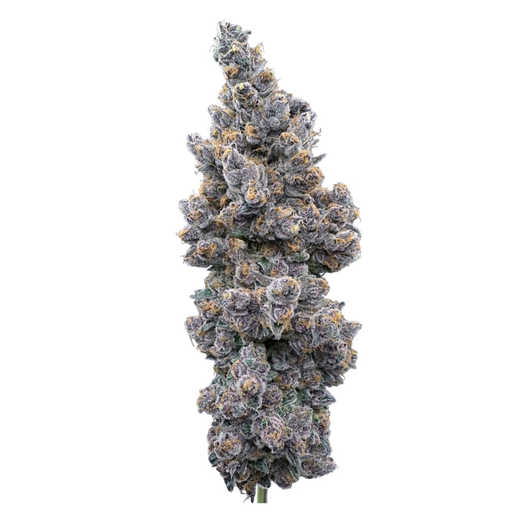 Trifecta Farms - Super Boof Flower Trifecta Farms - Super Boof Flower