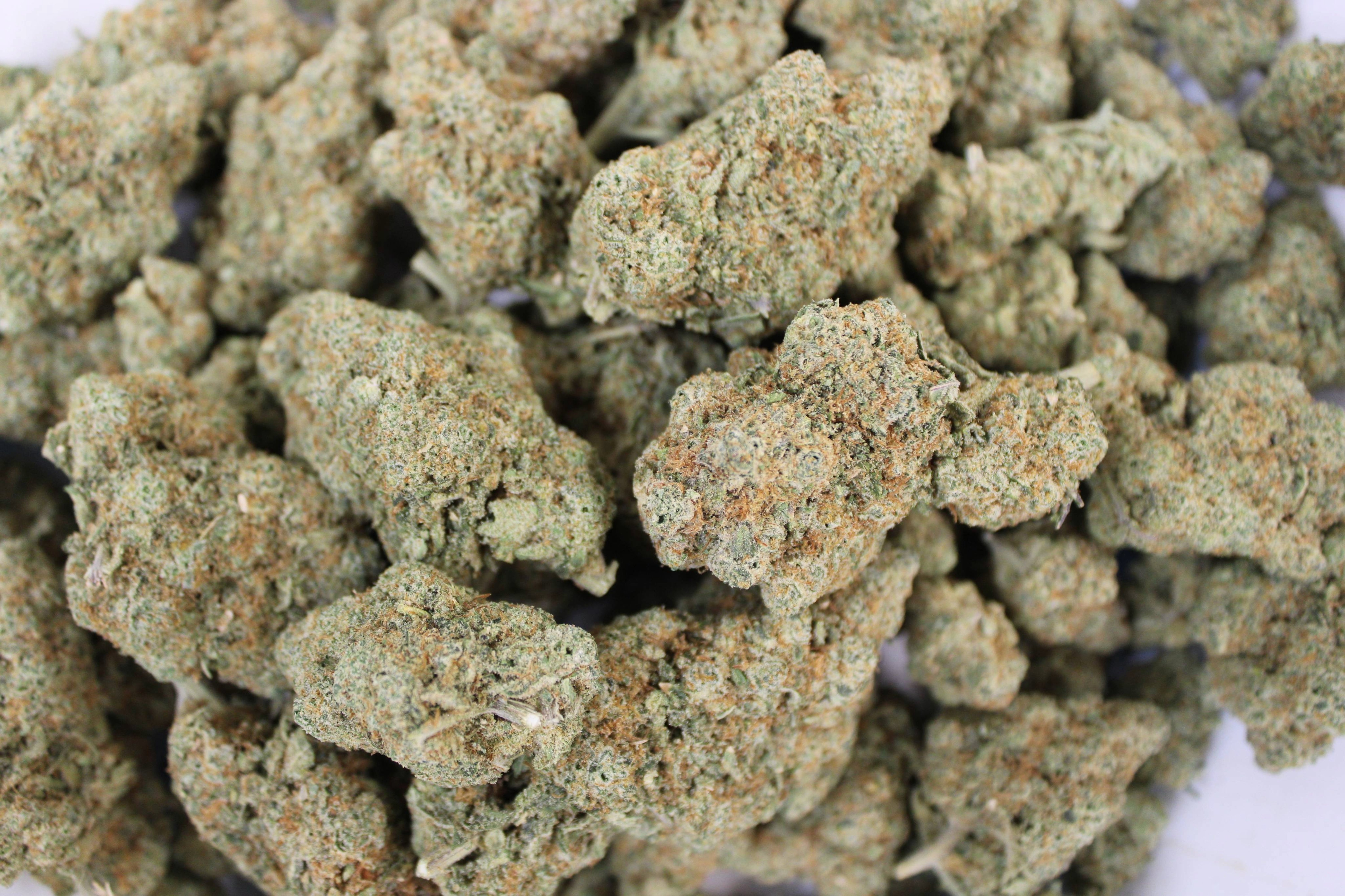 Kind Care - Glueball - Bulk Flower - Indica