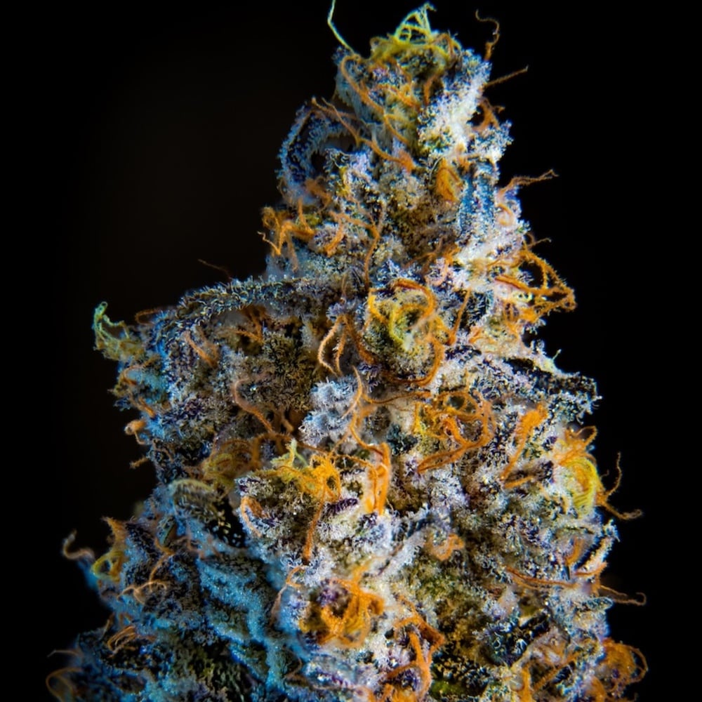 Impressed - Banor-eoz Flower