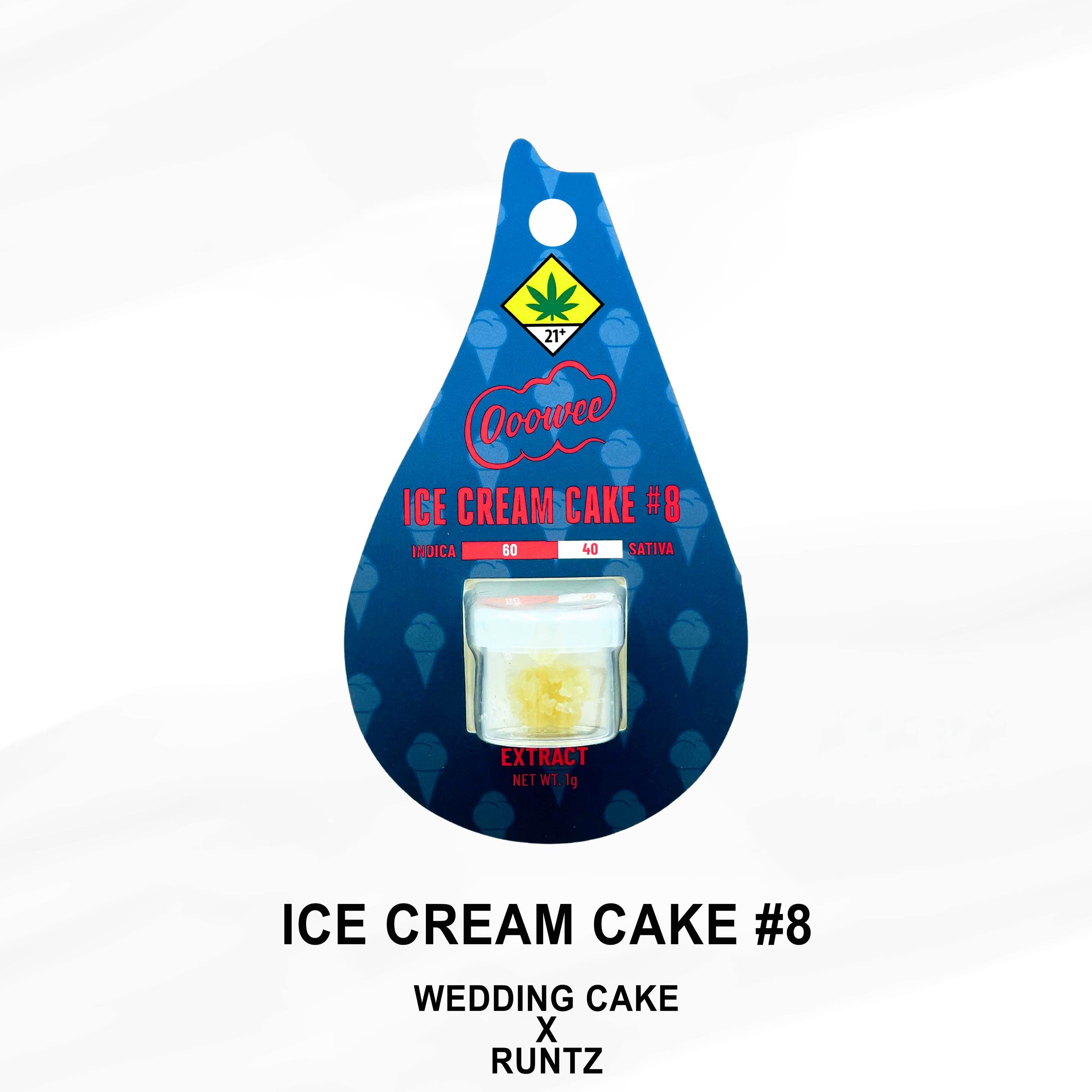 Ice Cream Cake #8