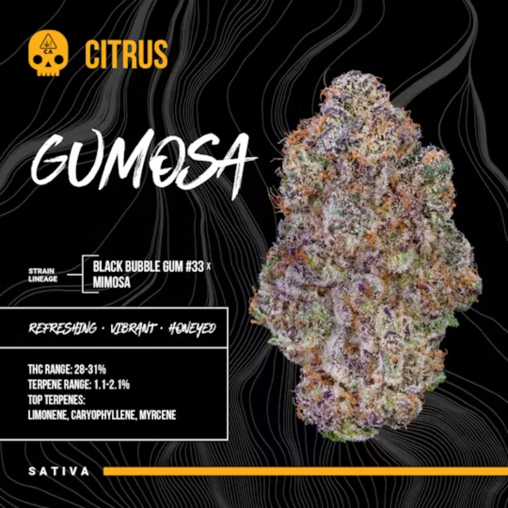 Gumosa