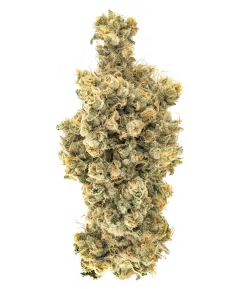 Caramel Apple Romulan